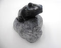 Très rare grenouille sculptée dans de l'onyx noir veinée blanche - Monté sur rocher - Acquise en AUSTRALIE