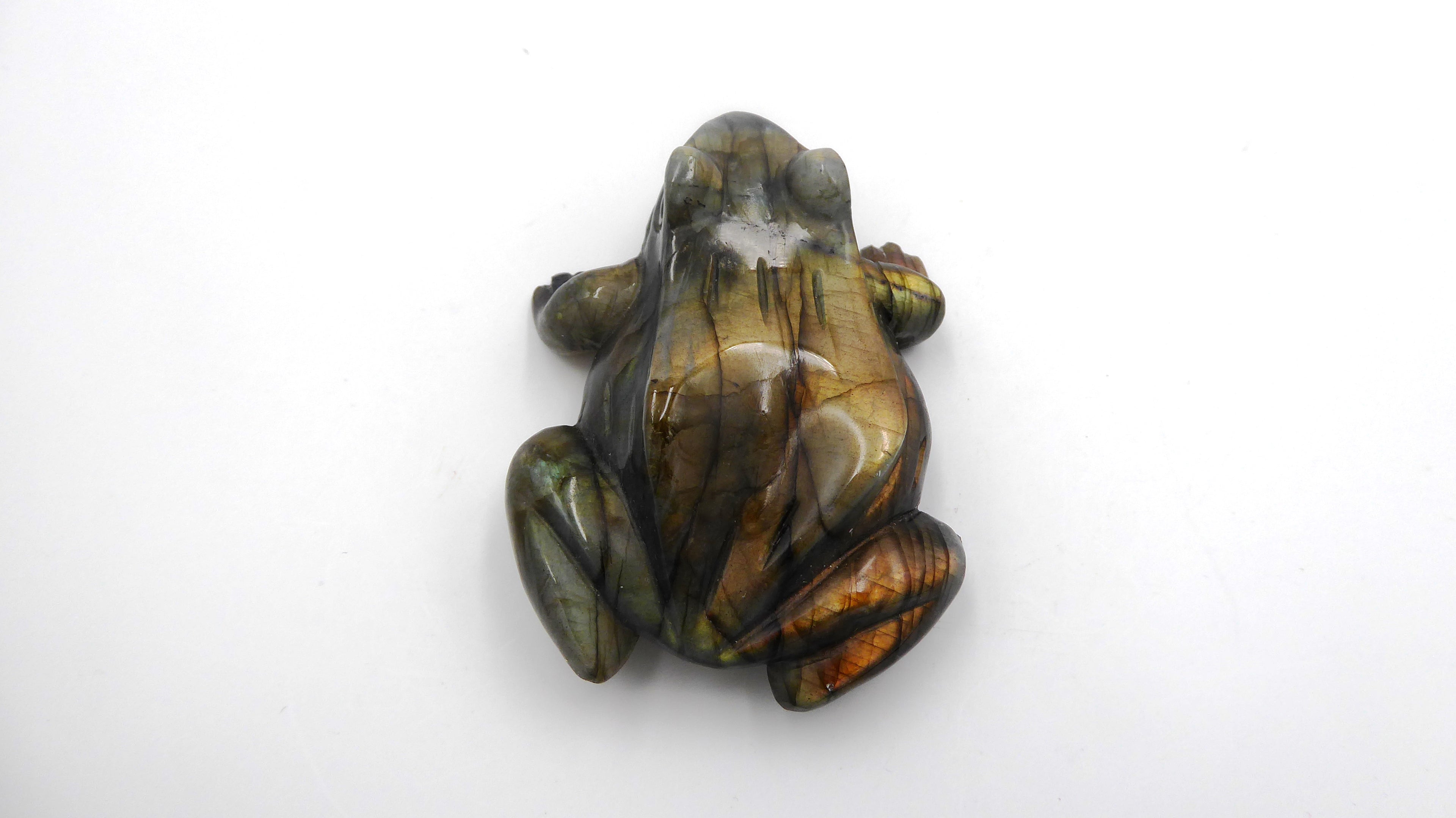 Superbe grenouille en labradorite
