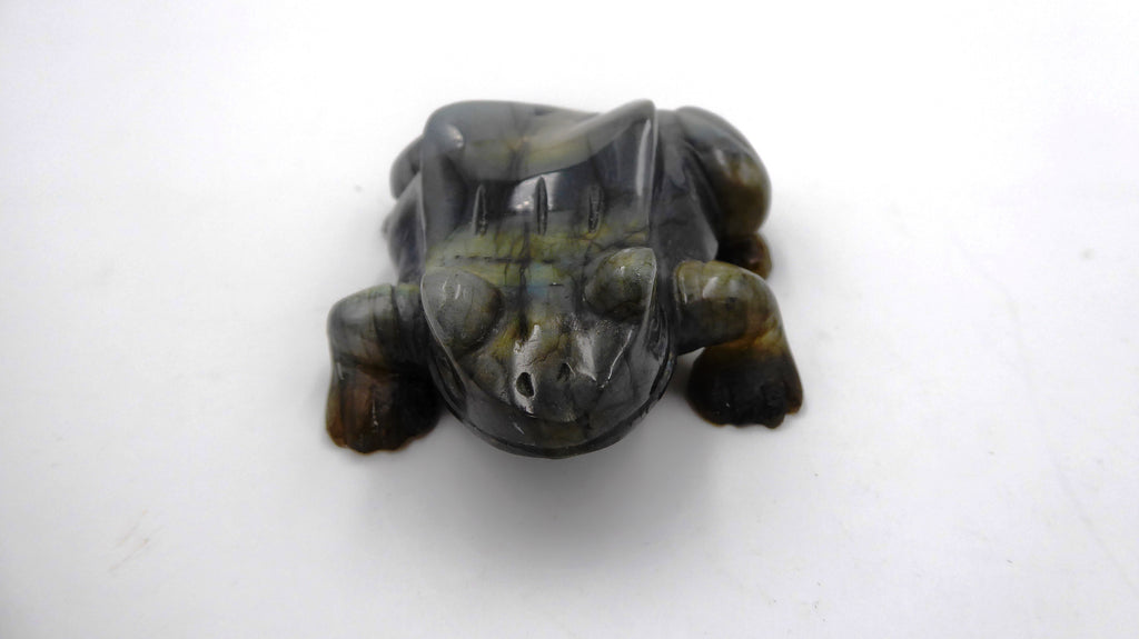 Superbe grenouille en labradorite