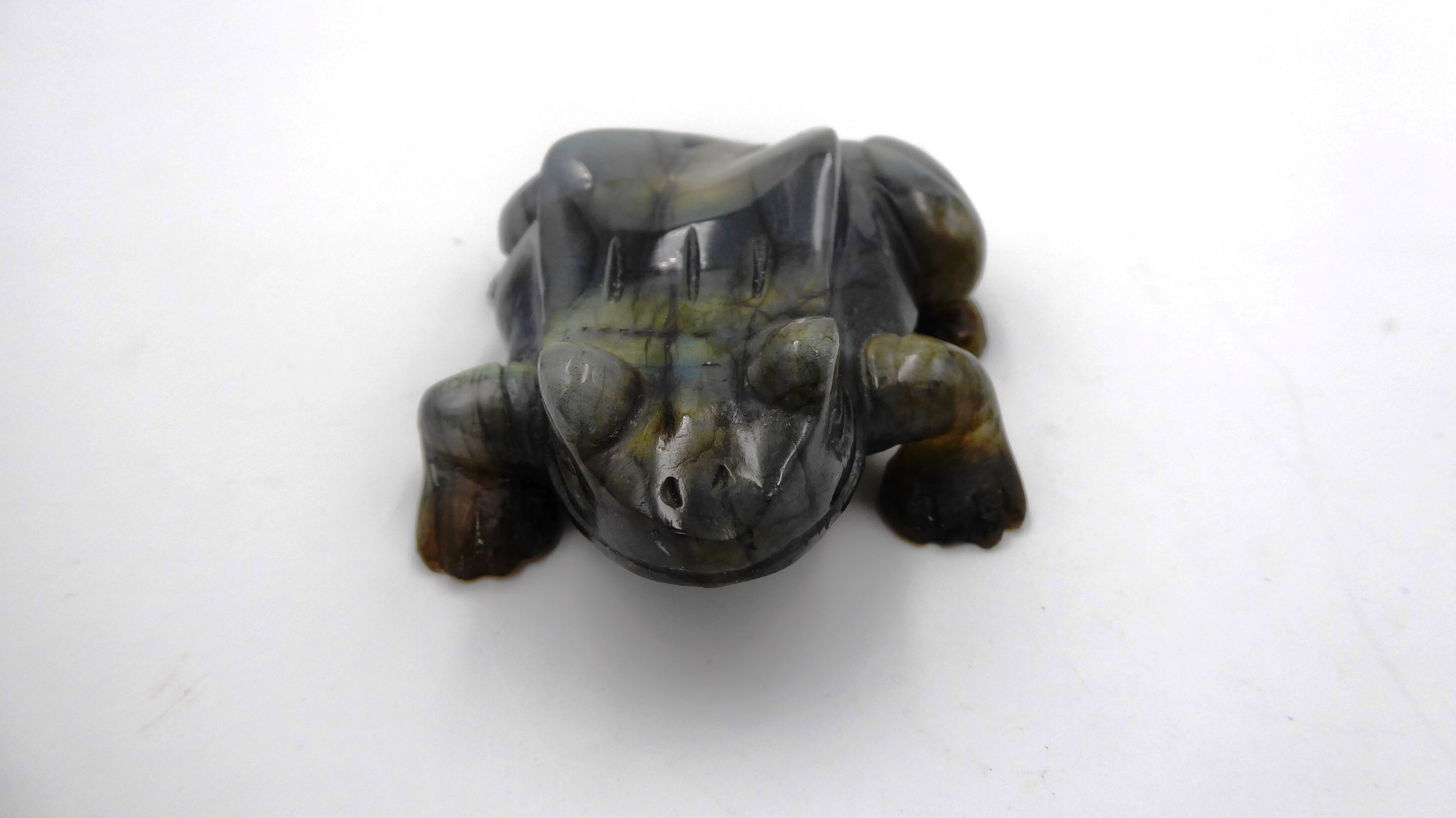 Superbe grenouille en labradorite