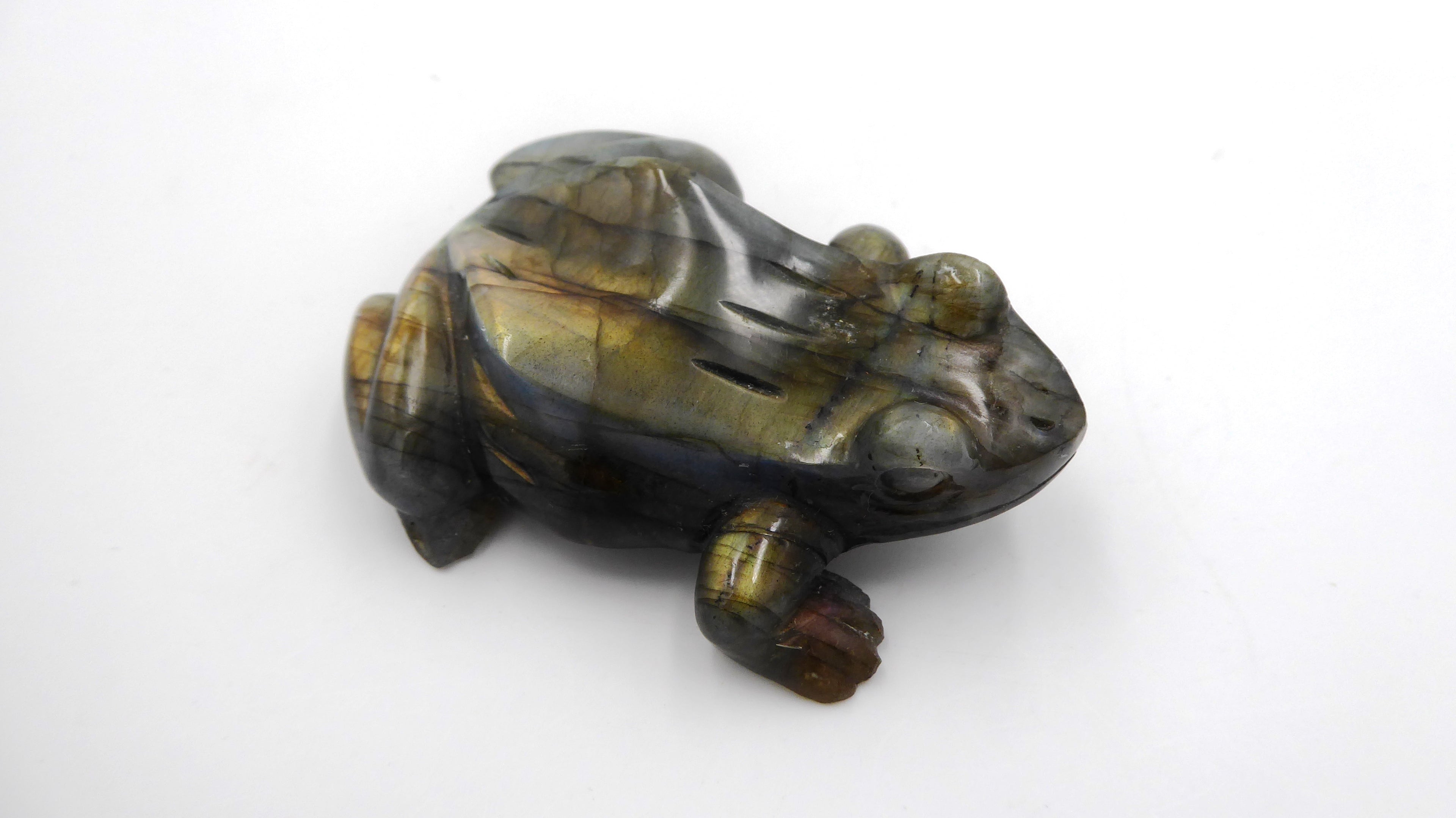 Superbe grenouille en labradorite