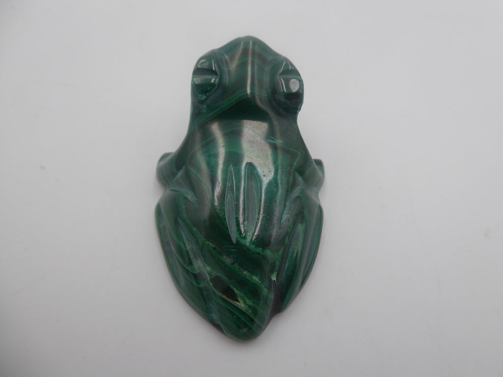 Grenouille en malachite à beaux reflets