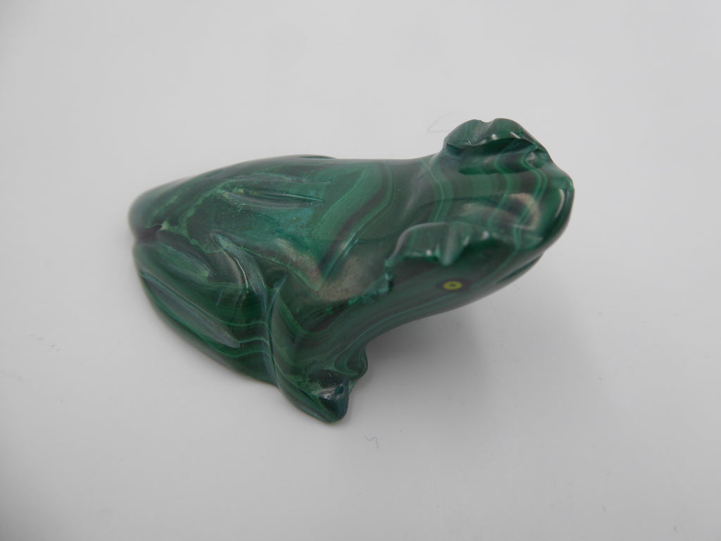 Grenouille en malachite à beaux reflets