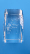 Bloc de verre comportant un hologramme grenouilles et nénuphars