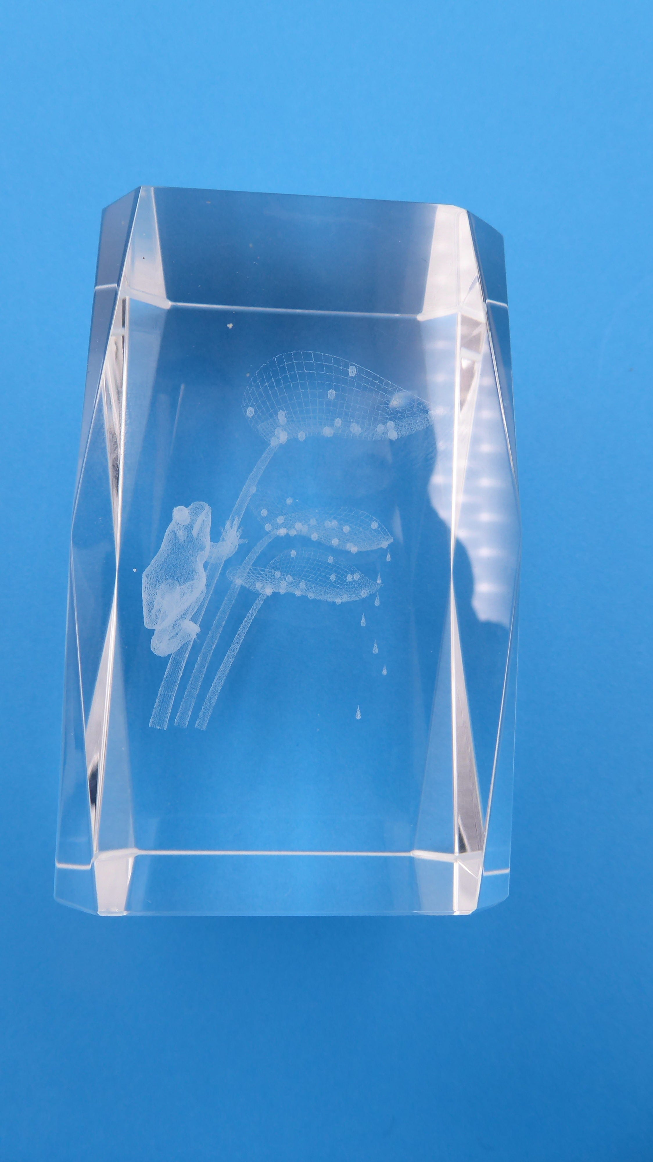 Bloc de verre comportant un hologramme grenouilles et nénuphars
