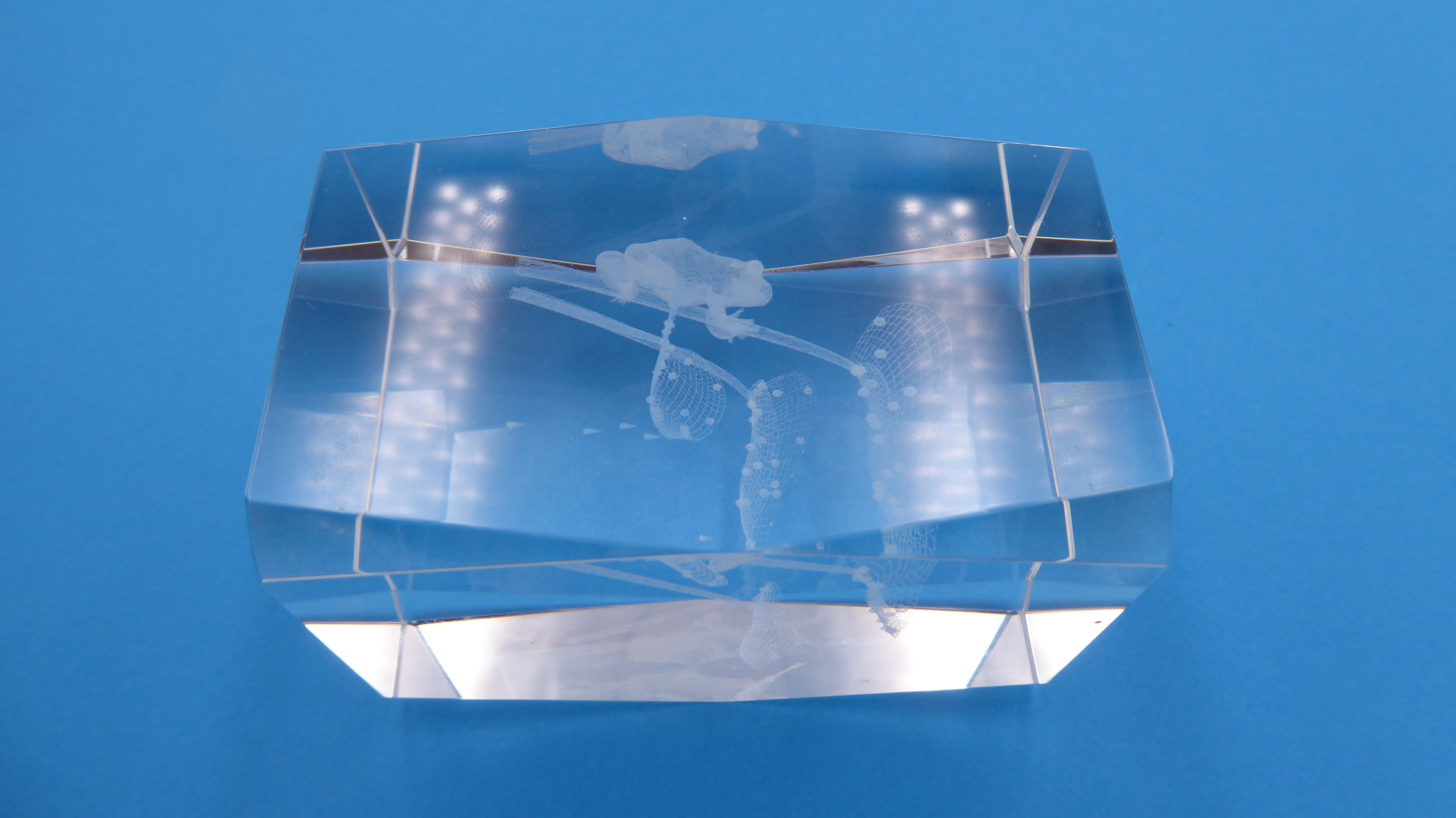 Bloc de verre comportant un hologramme grenouilles et nénuphars