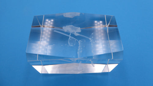Bloc de verre comportant un hologramme grenouilles et nénuphars