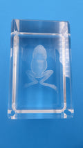 Bloc de verre comportant un hologramme grenouille