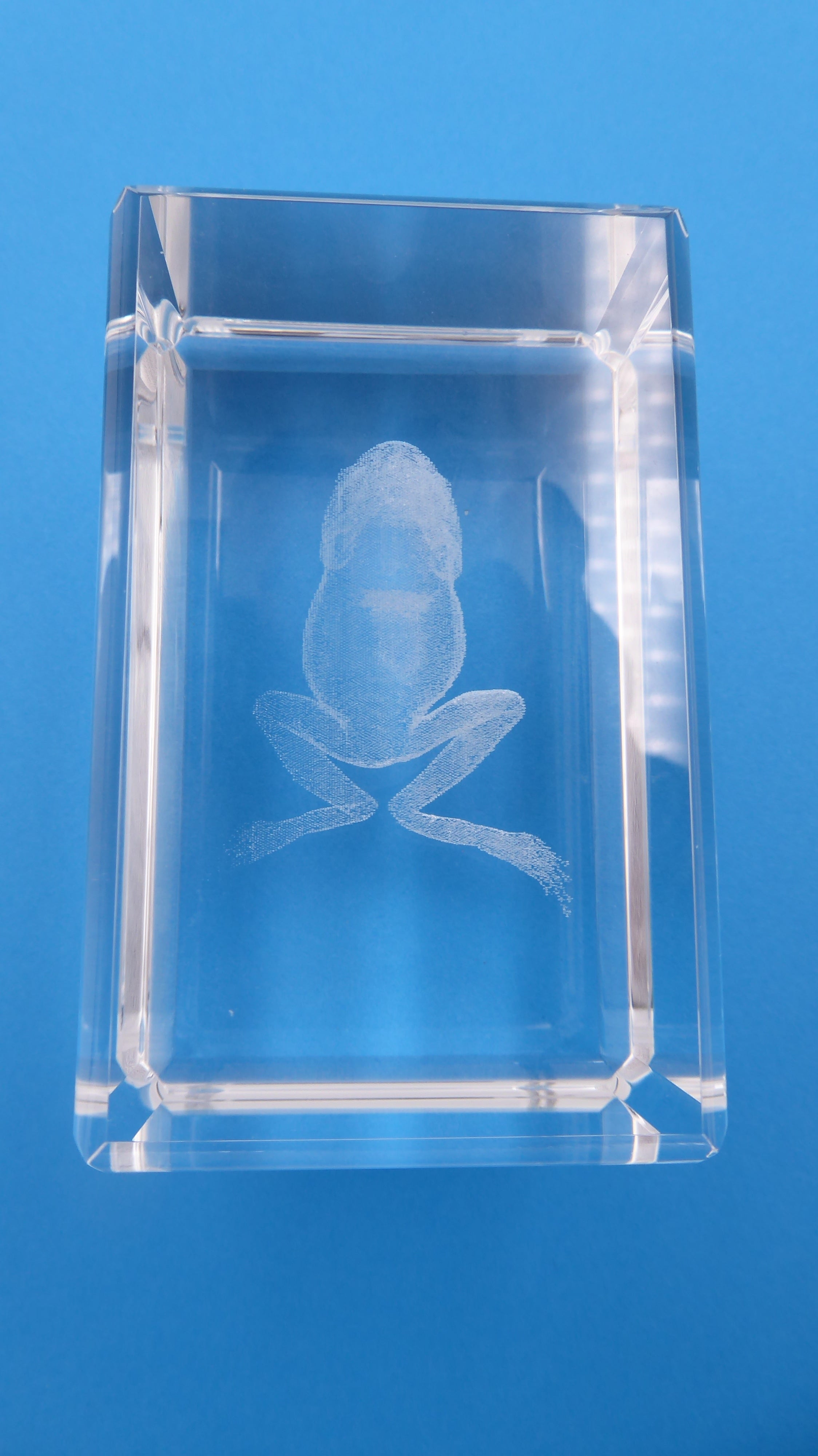 Bloc de verre comportant un hologramme grenouille