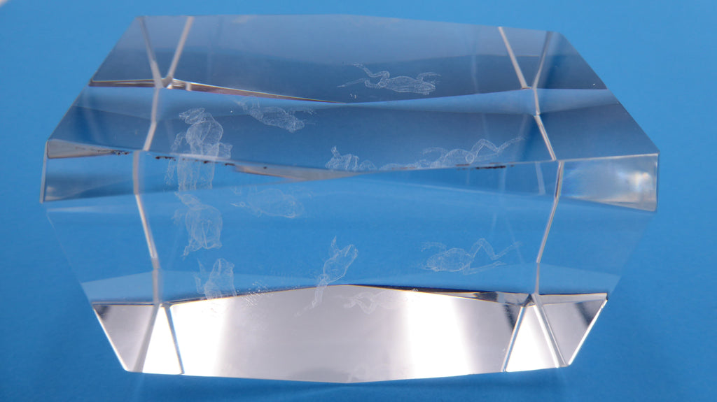 Bloc de verre comportant un hologramme sept petites grenouille