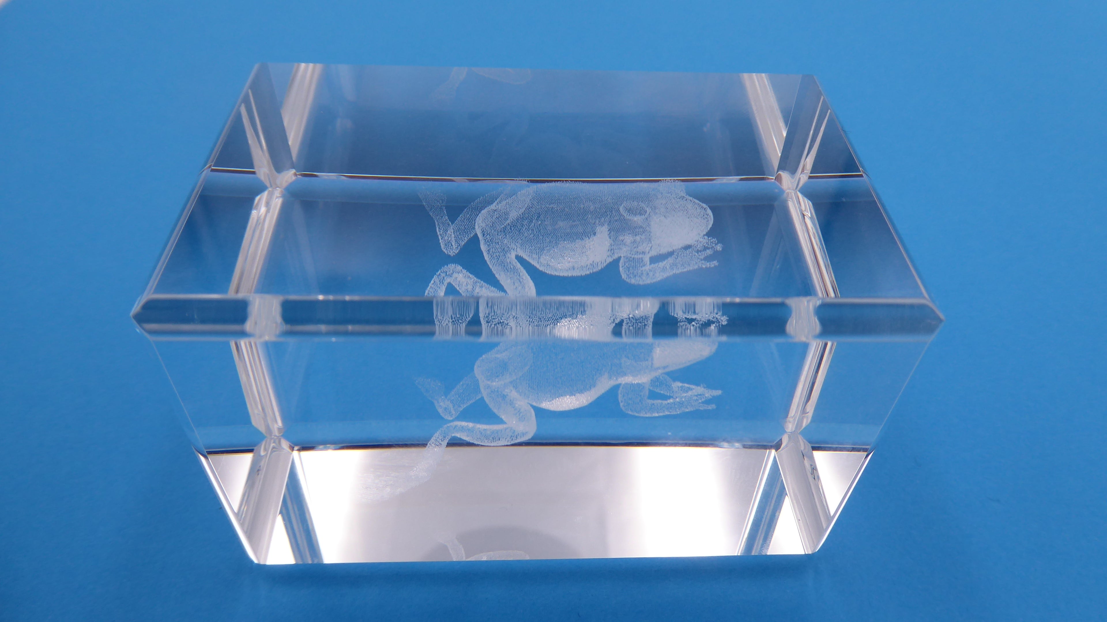 Bloc de verre comportant un hologramme grenouille