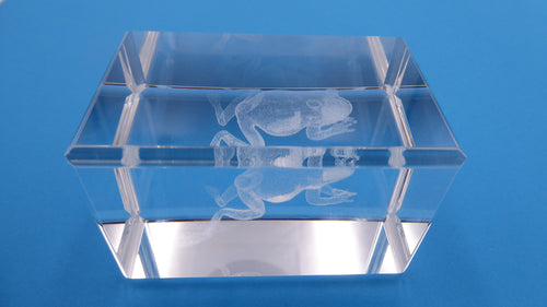 Bloc de verre comportant un hologramme grenouille