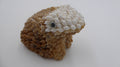 Grenouille en composite recouvert de petites coquillages