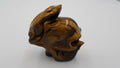 Grenouille sur crane - Pierre œil de tigre (Origine Australie) sculptée en Inde