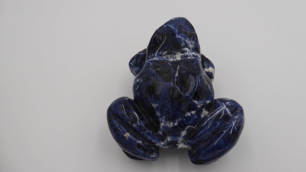 Énorme grenouille en lapis lazuli
