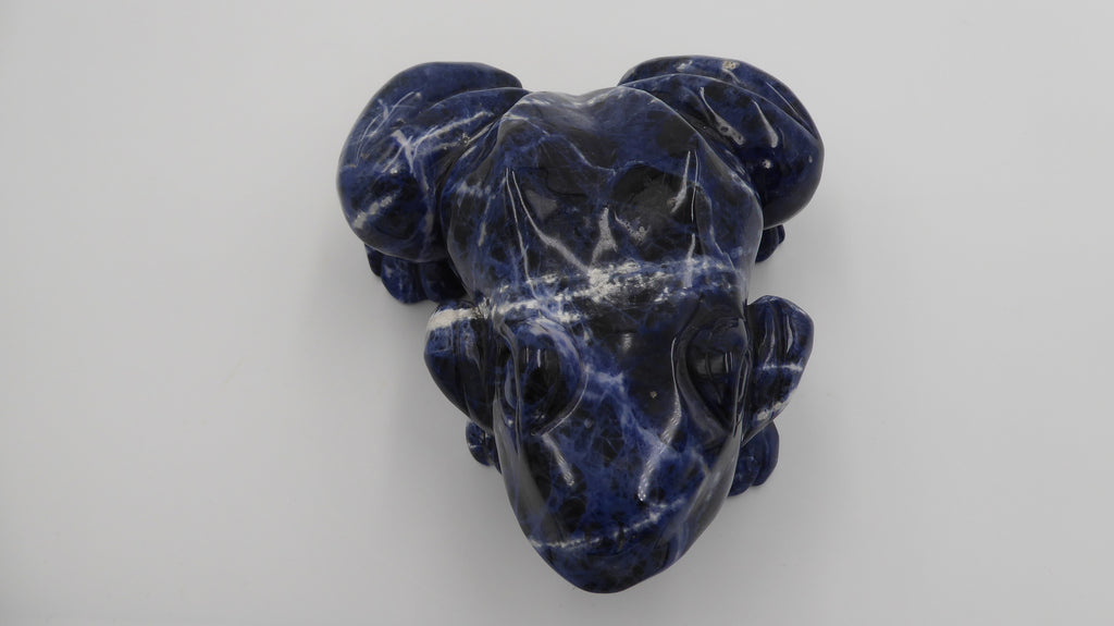 Énorme grenouille en lapis lazuli