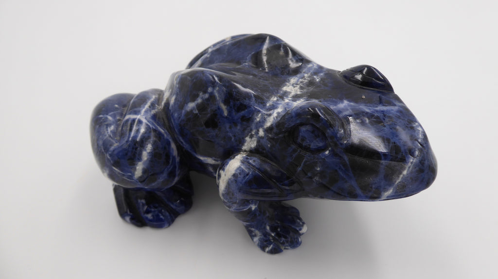 Énorme grenouille en lapis lazuli