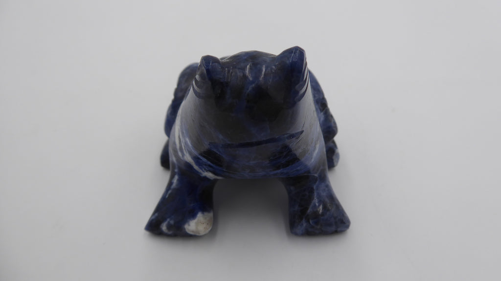 Petite grenouille ne lapis lazuli