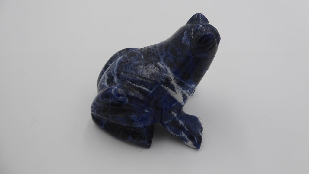 Petite grenouille ne lapis lazuli