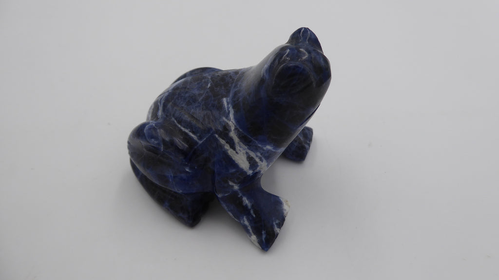 Petite grenouille ne lapis lazuli