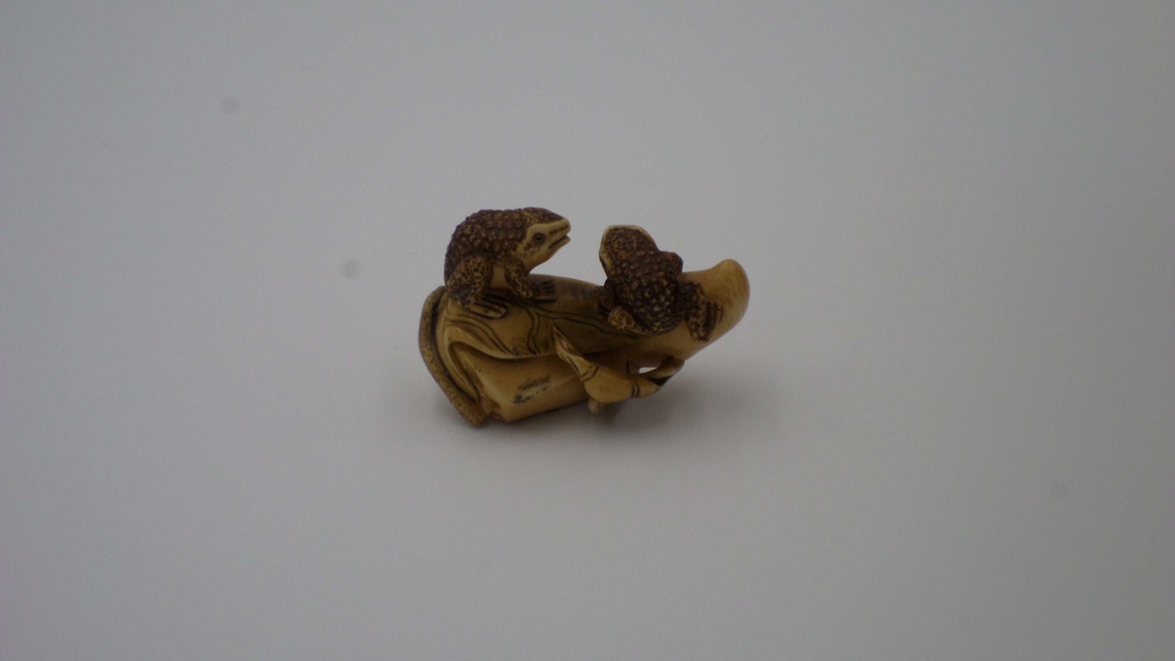 Netsuke représentant deux grenouilles sur une feuille (Ivoire avant 1947 - Conforme à la législation)