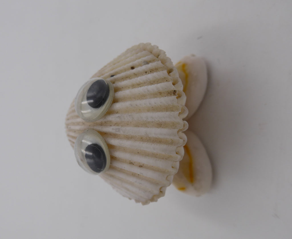 Famille de cinq sujets grenouilles en coquillages