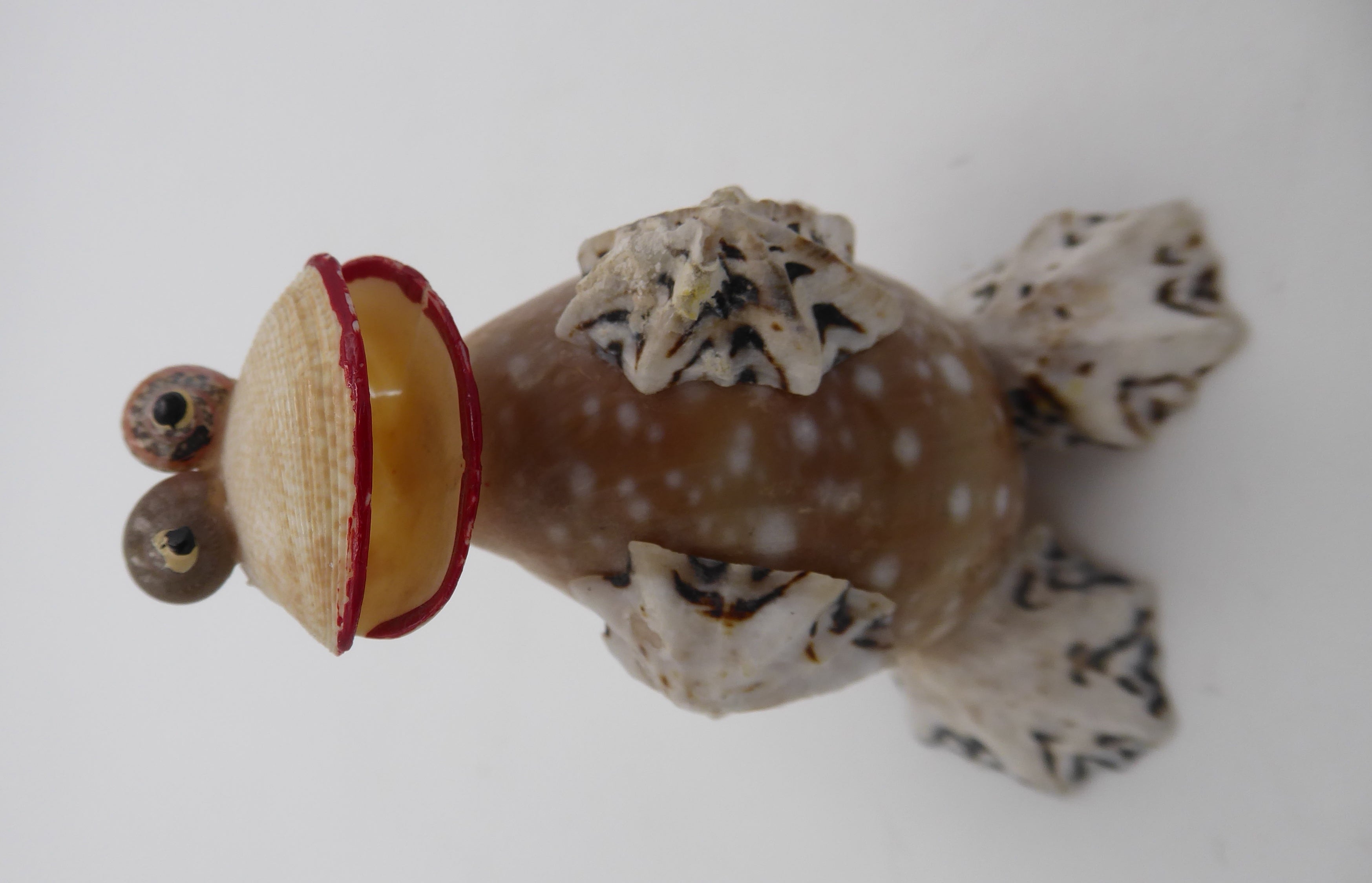 Famille de cinq sujets grenouilles en coquillages