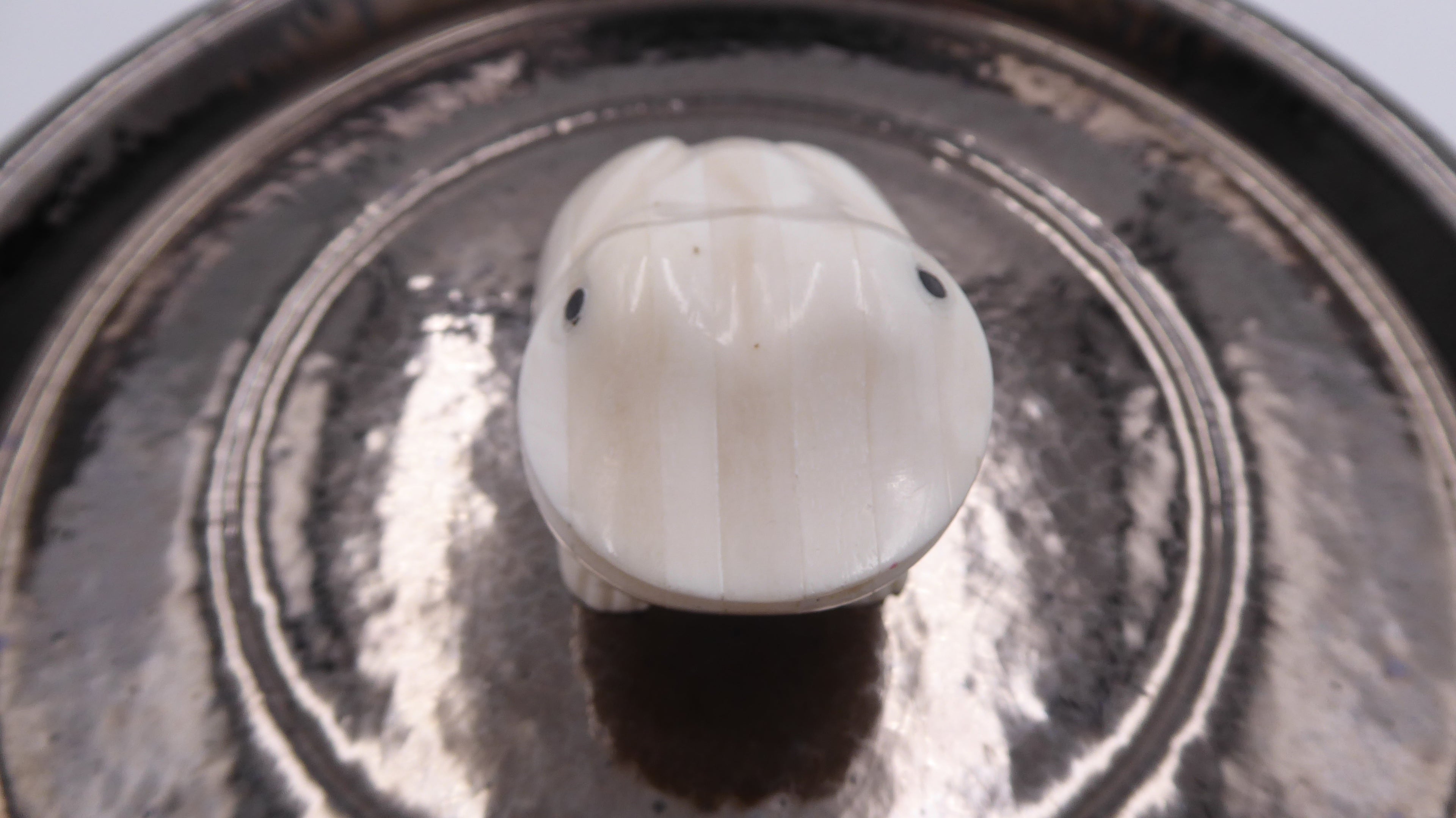 Petite grenouille onyx blanc nervuré (A confirmer)
