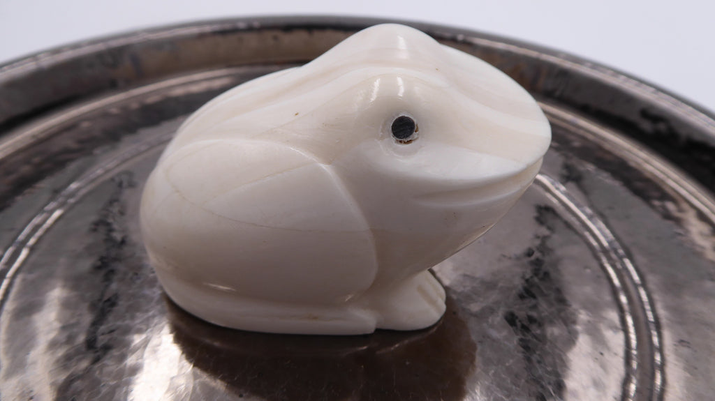 Petite grenouille onyx blanc nervuré (A confirmer)