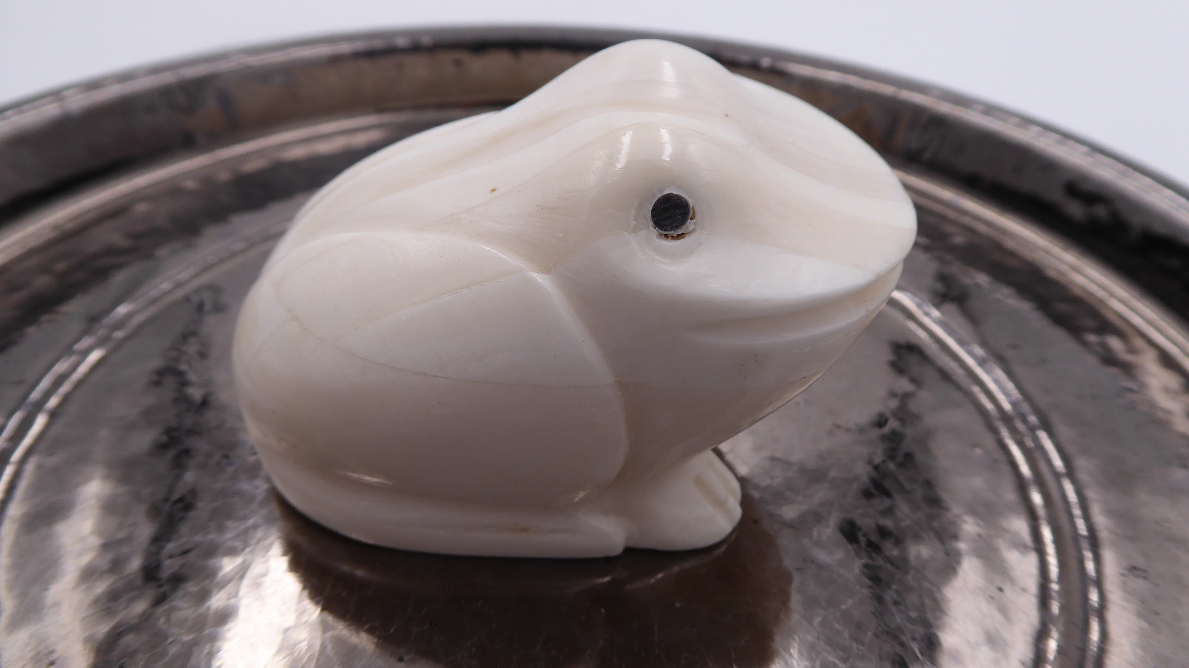 Petite grenouille onyx blanc nervuré (A confirmer)