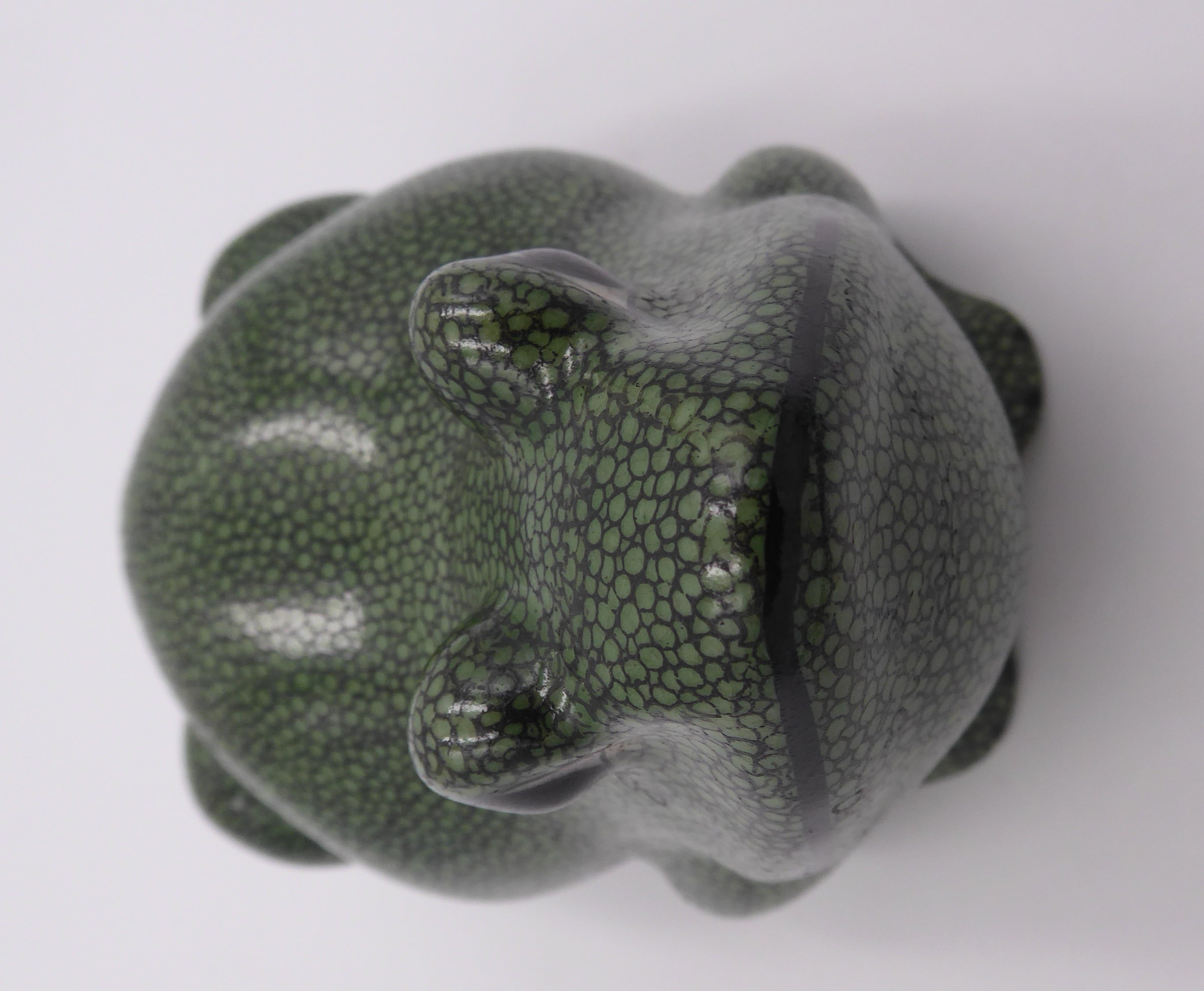 Vieille grenouille chinoise coloris vert moucheté