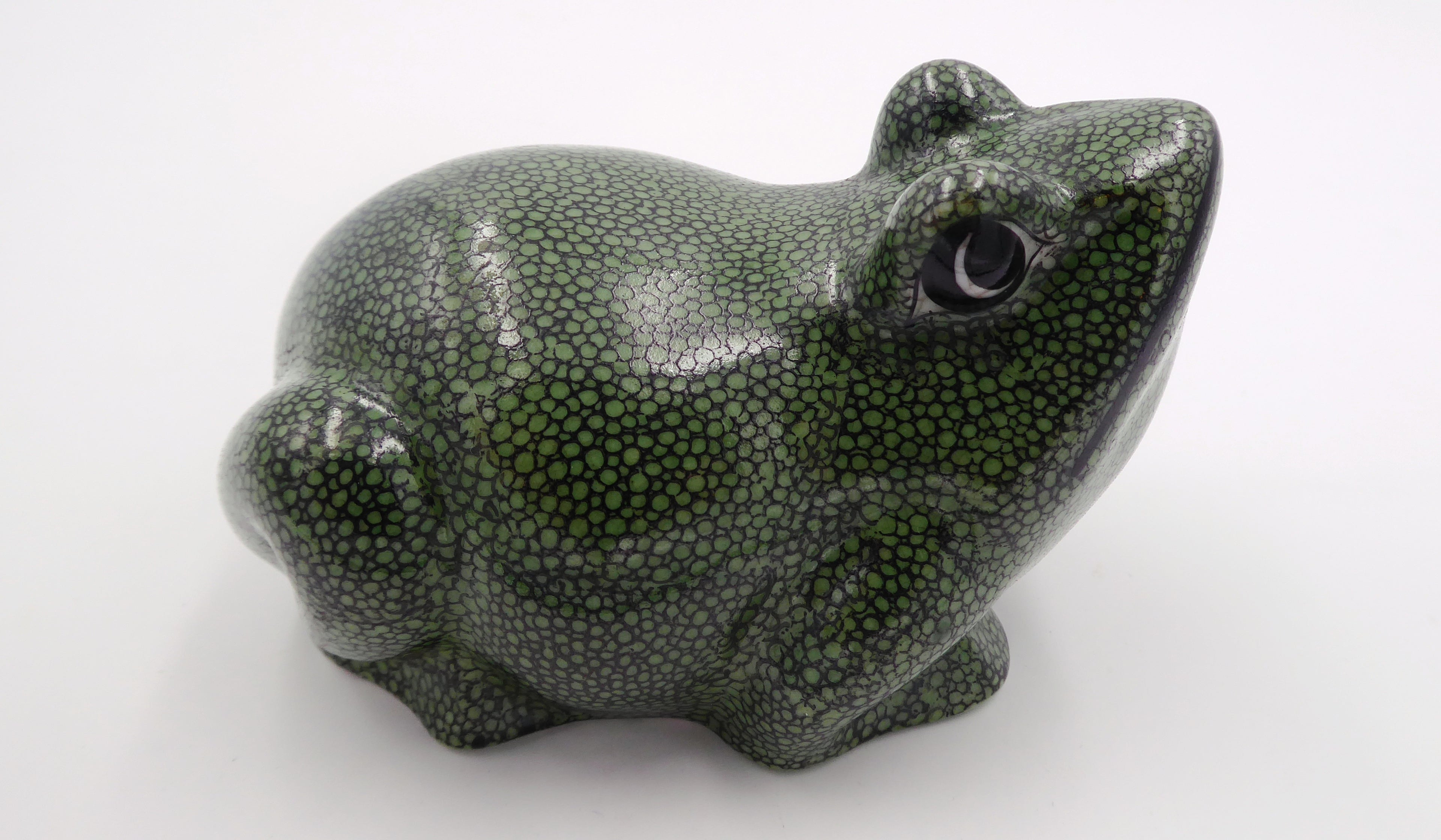 Vieille grenouille chinoise coloris vert moucheté