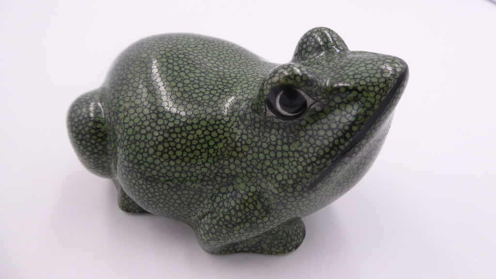 Vieille grenouille chinoise coloris vert moucheté