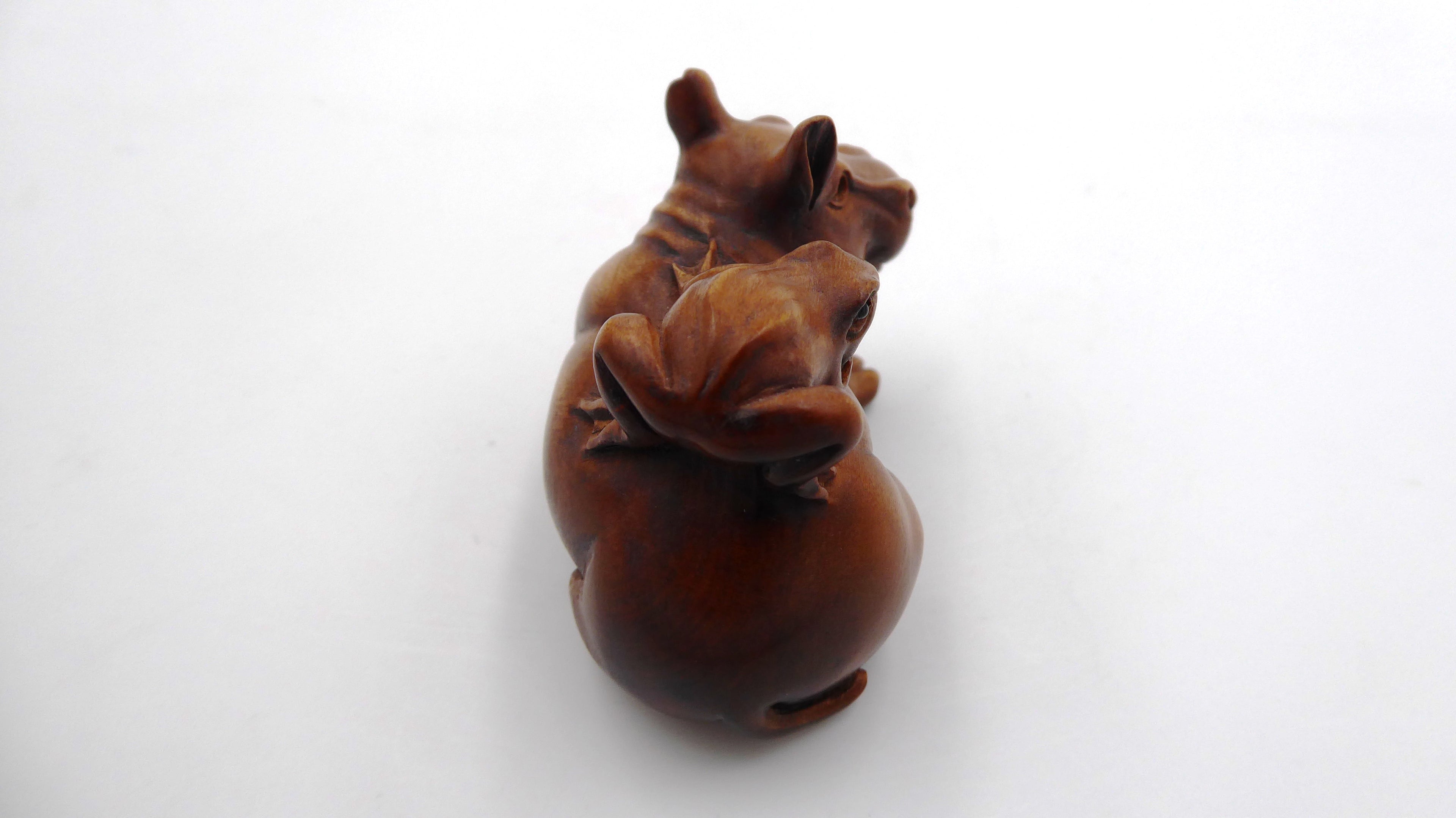 Metsuke signé Grenouille sur un hippopotame