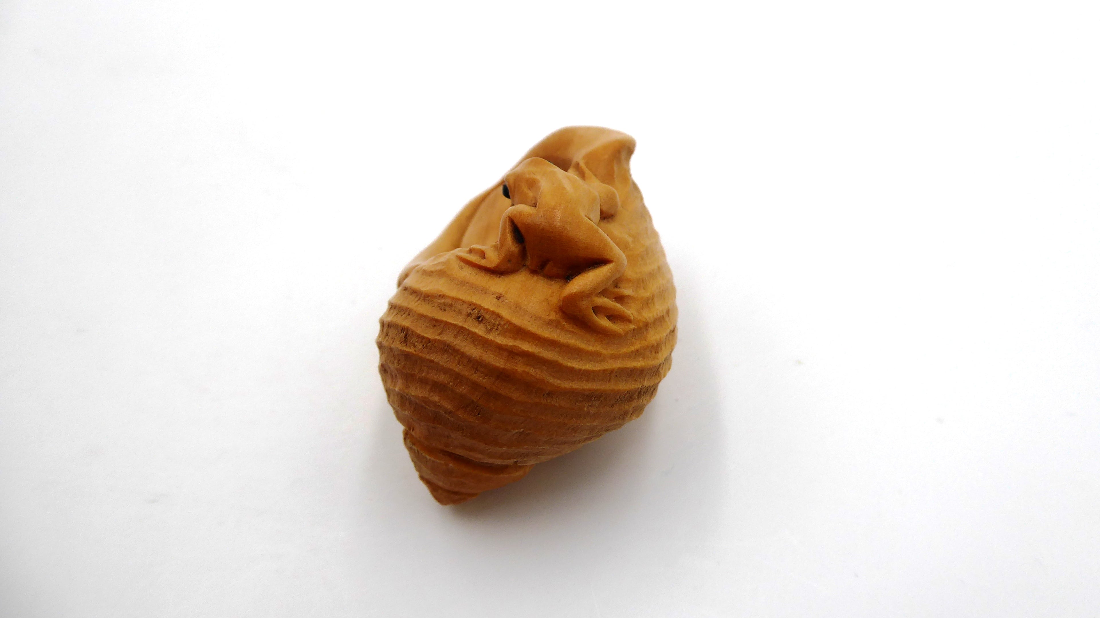 Metsuke signé Grenouille dans un coquillage