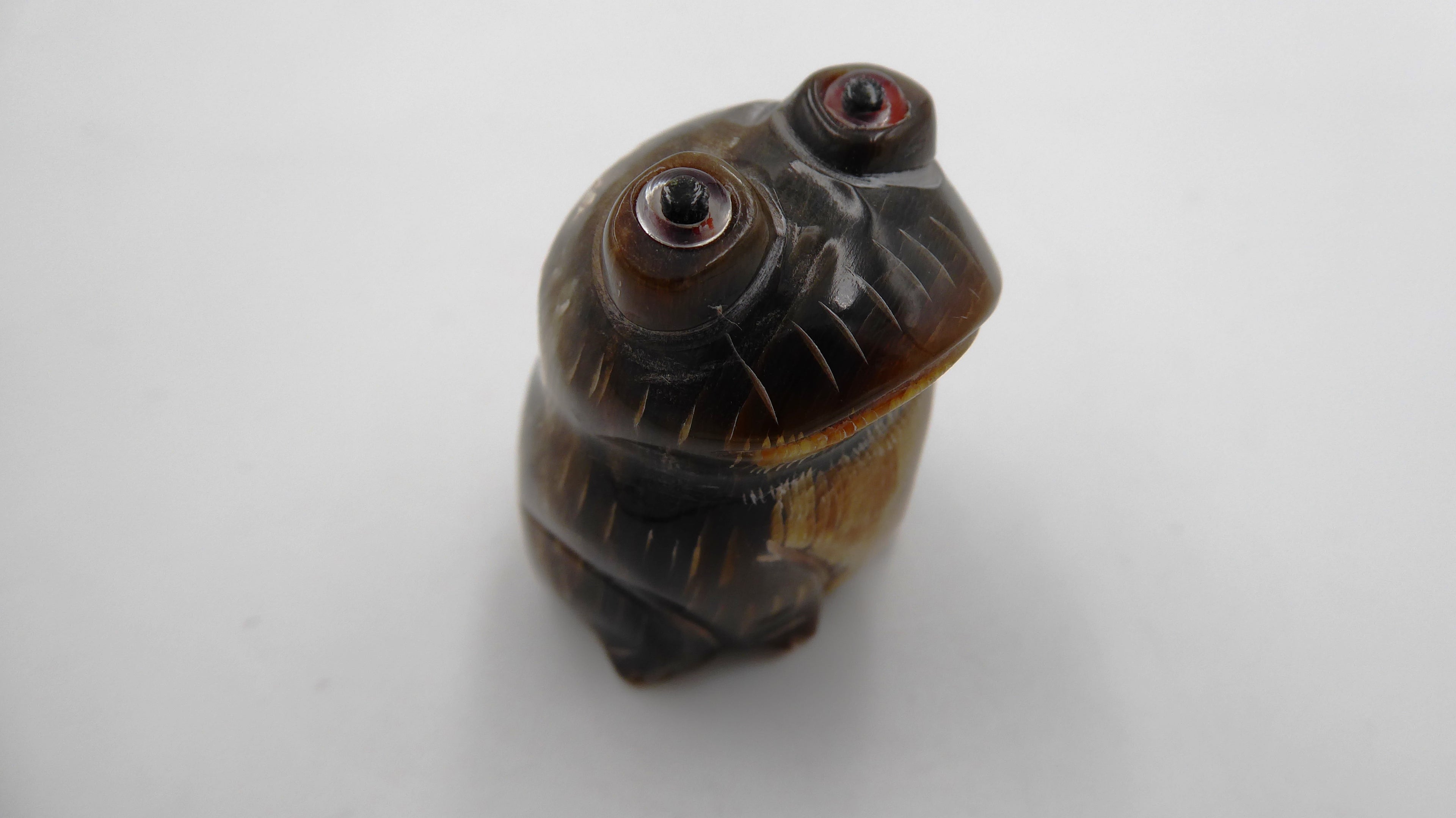 Petite grenouille en corne
