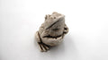 Grenouille en composite blanchi