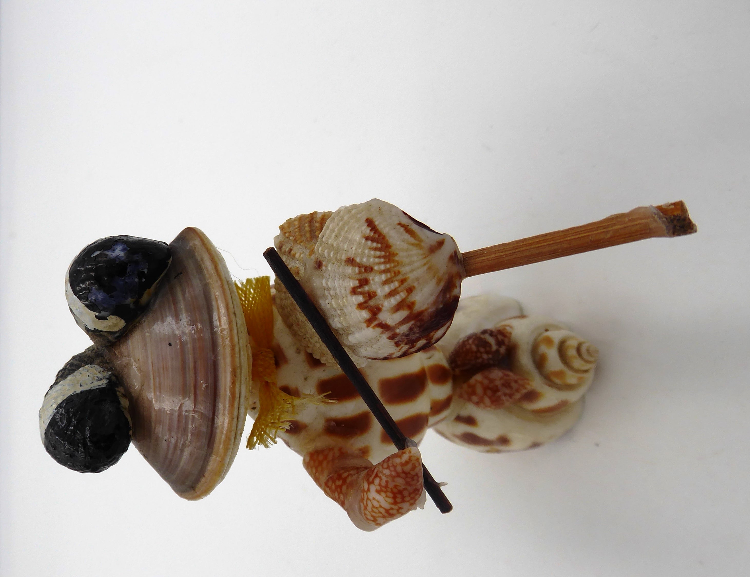 Grenouille en coquillages jouant du violon