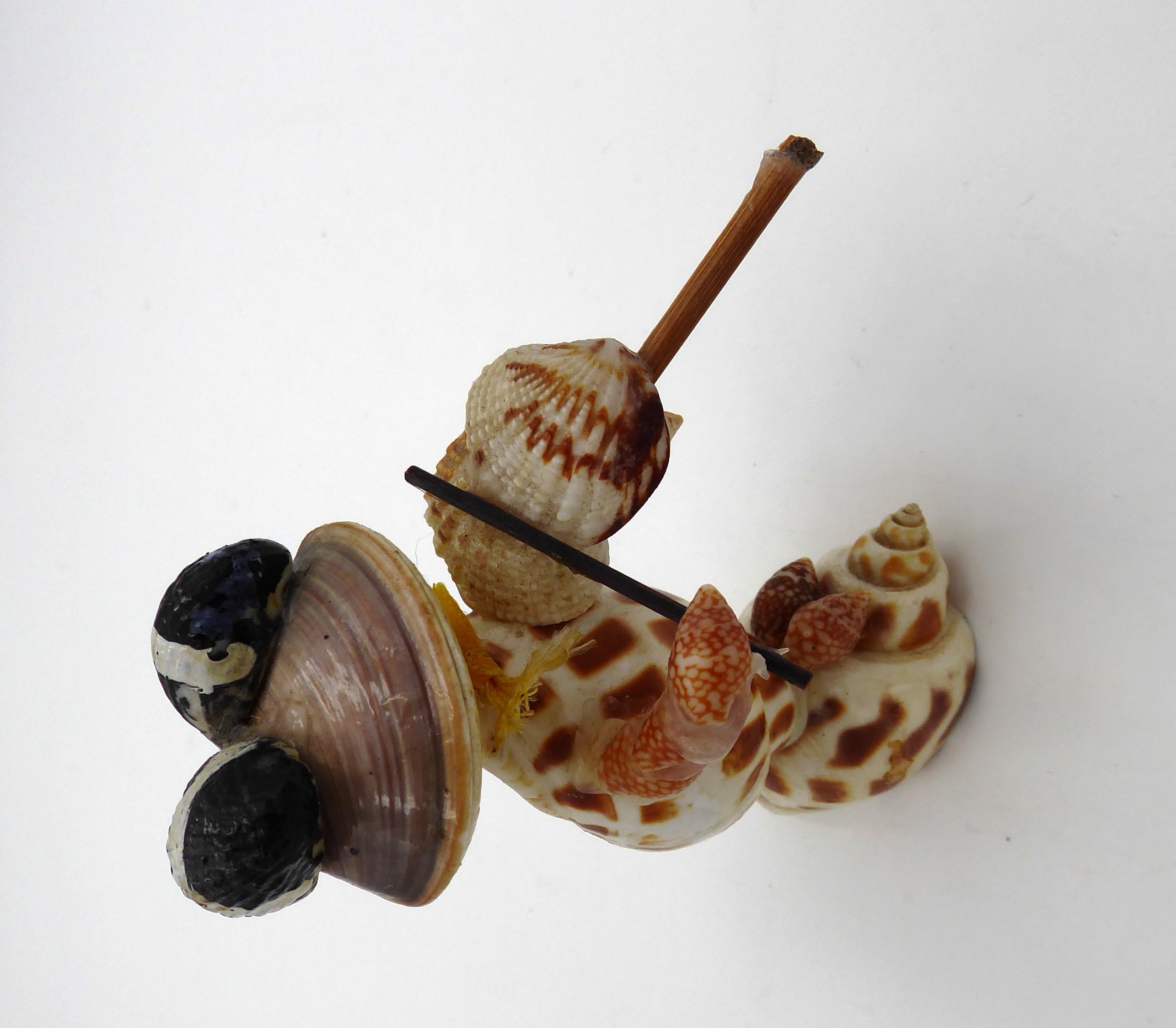 Grenouille en coquillages jouant du violon