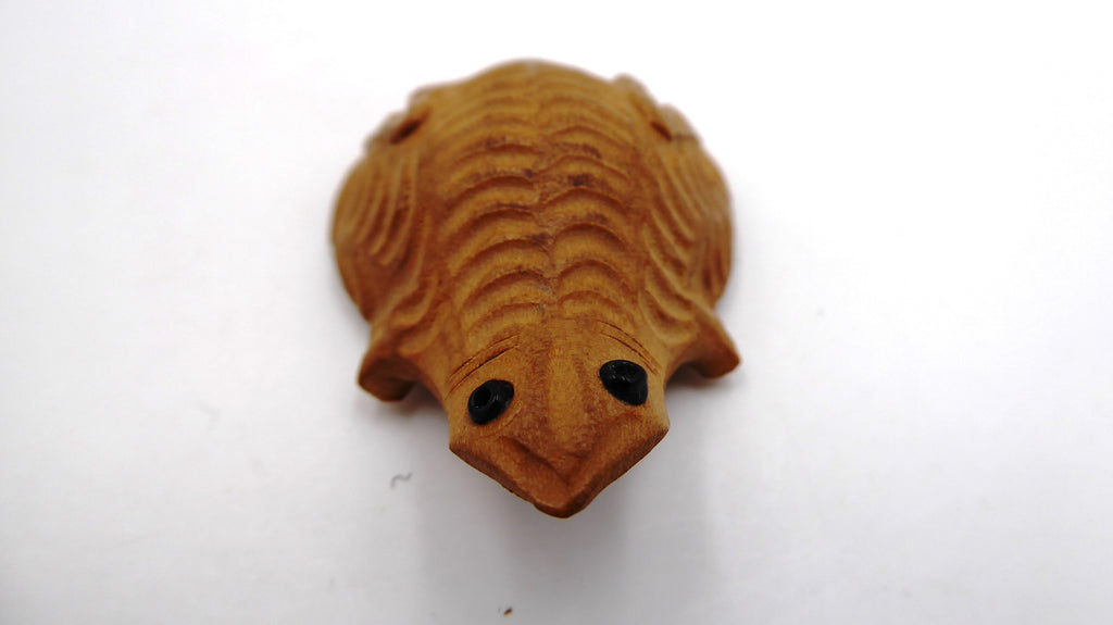 petite grenouille bois aux yeux noirs