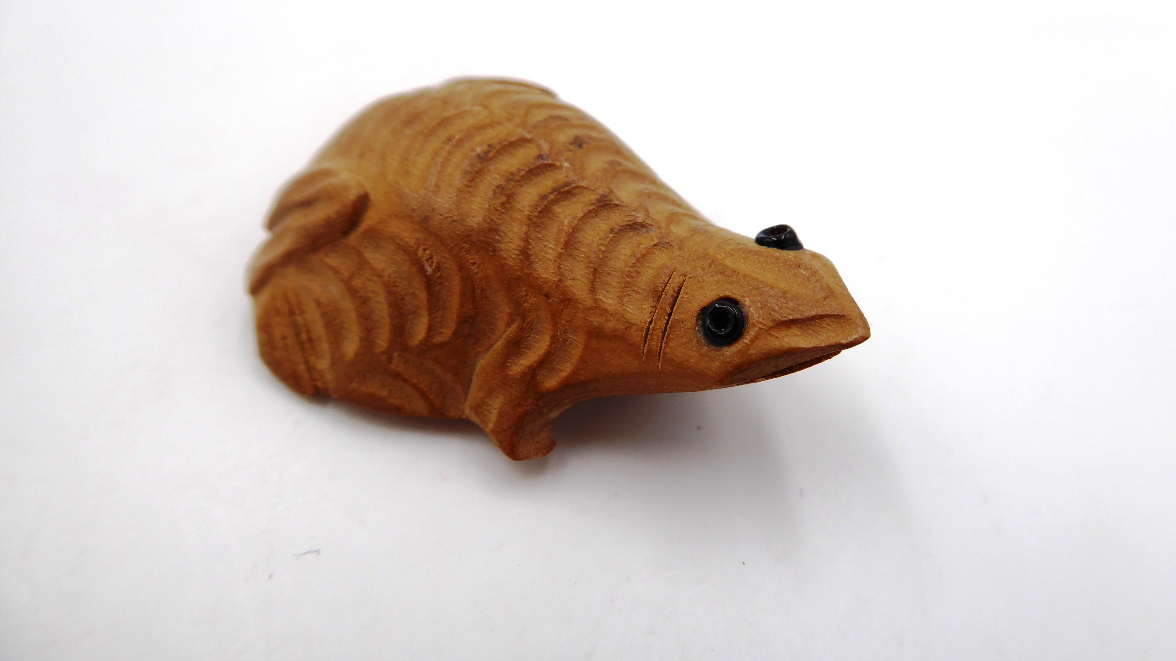 petite grenouille bois aux yeux noirs