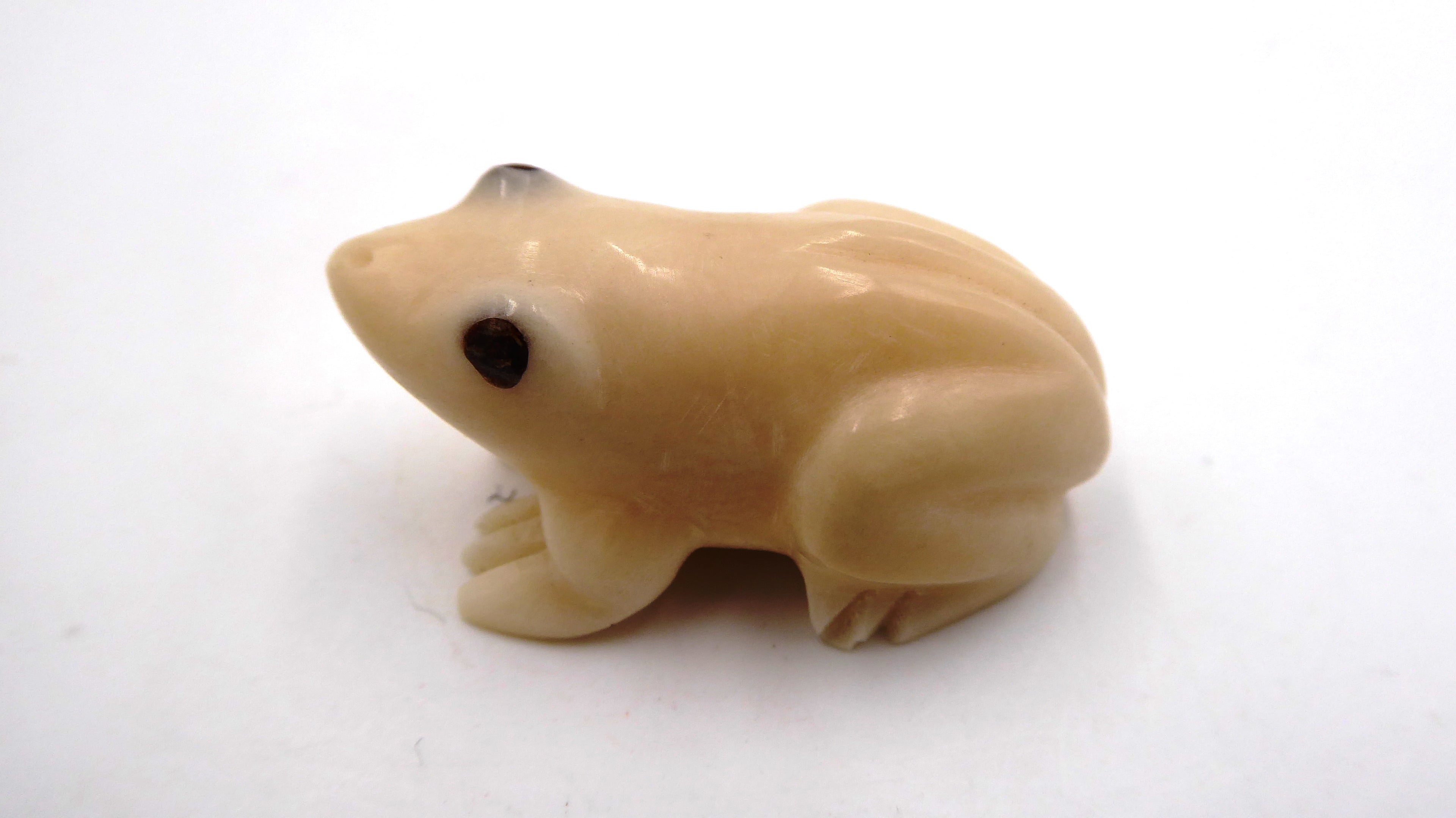 Petite grenouille en corne