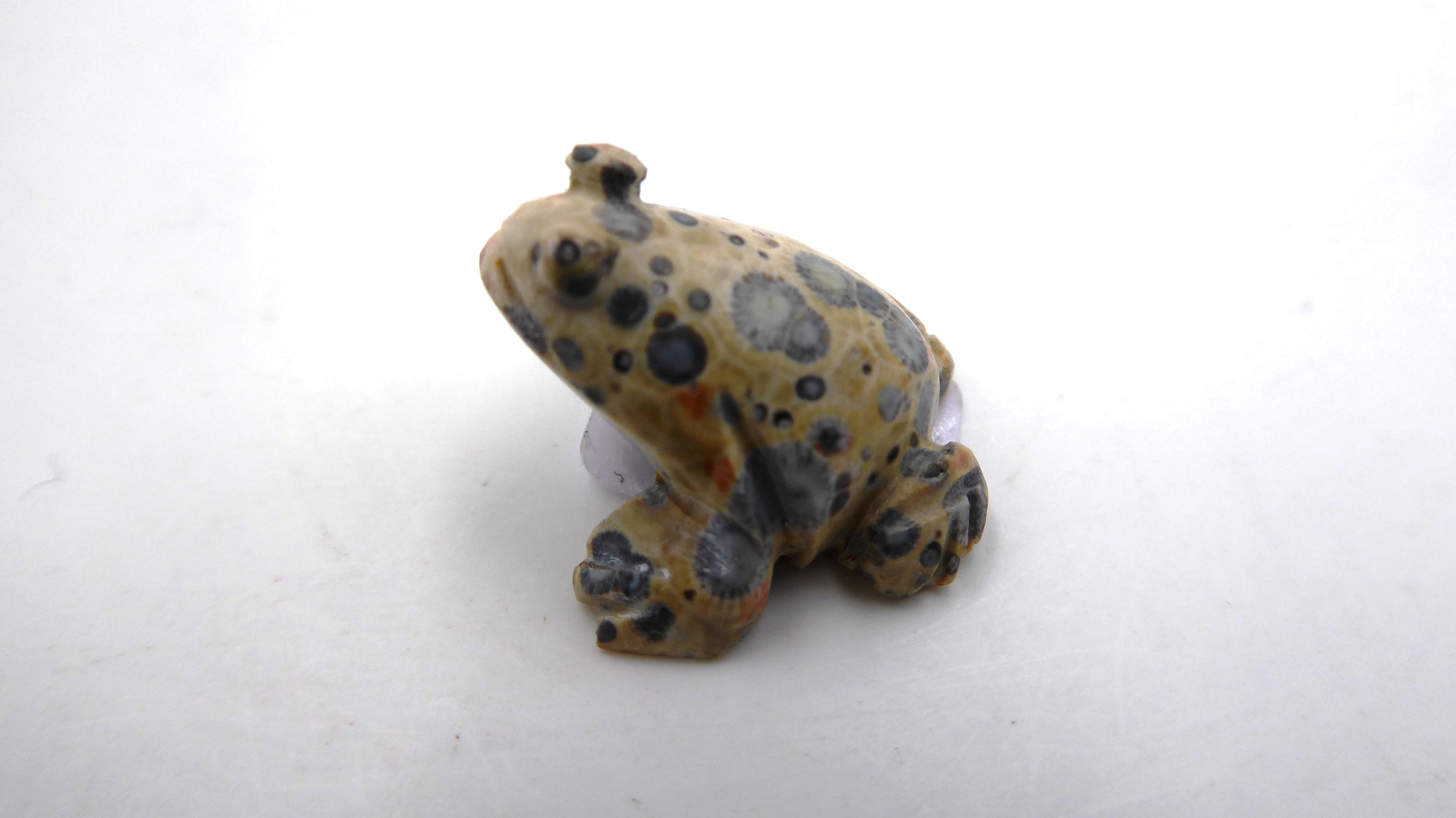 Minuscule grenouille en pierre tacheté