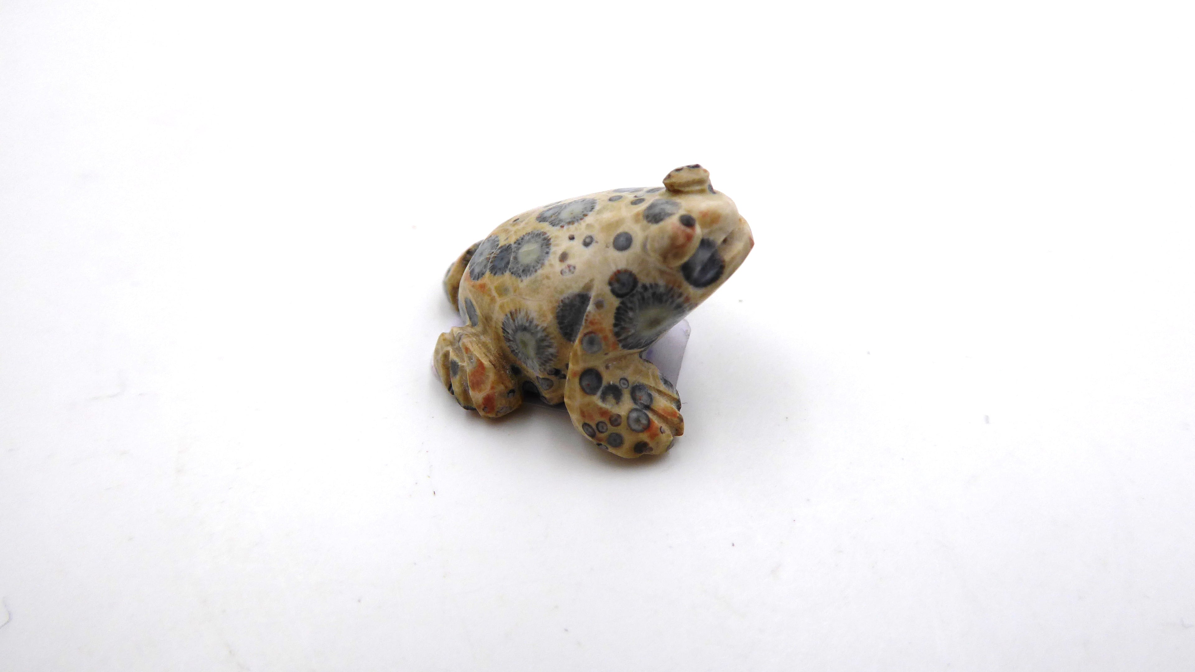 Minuscule grenouille en pierre tacheté