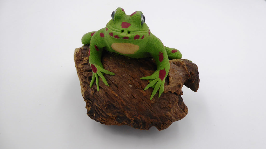 Vieille grenouille sur un morceau de bois