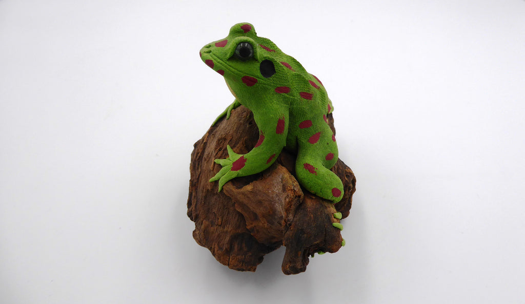 Vieille grenouille sur un morceau de bois