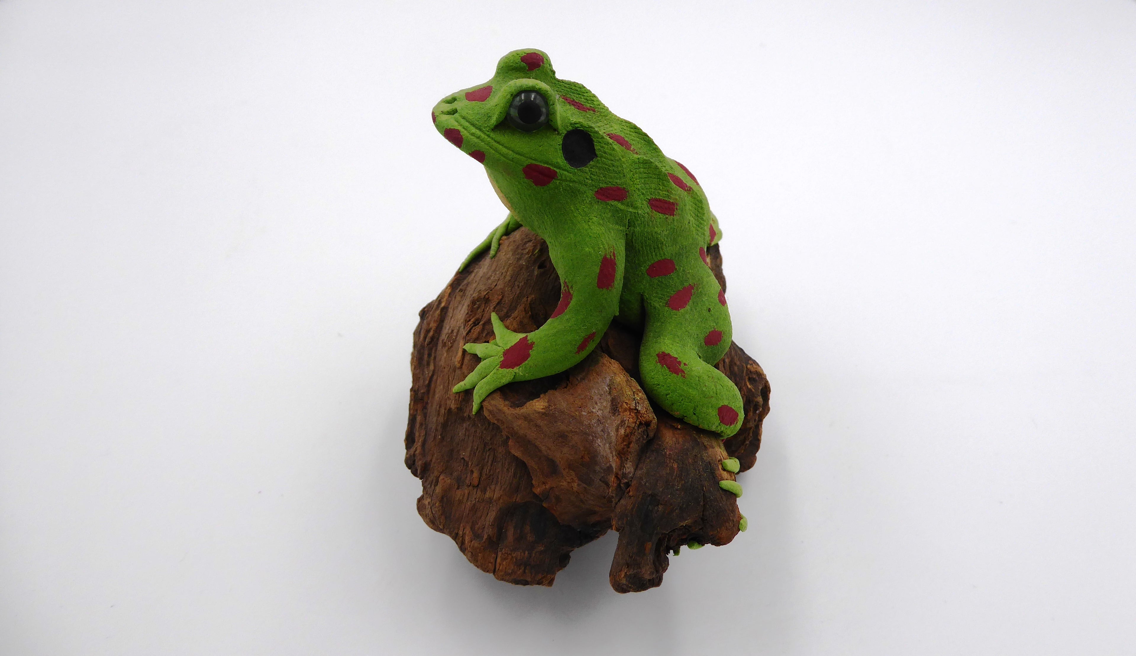 Vieille grenouille sur un morceau de bois