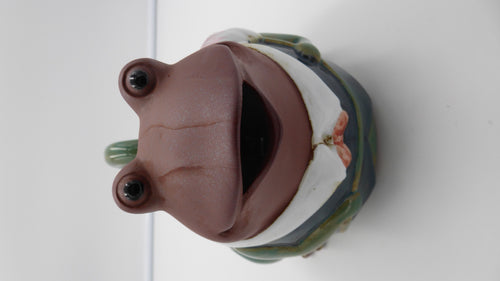 Broc céramique grenouille tête marron