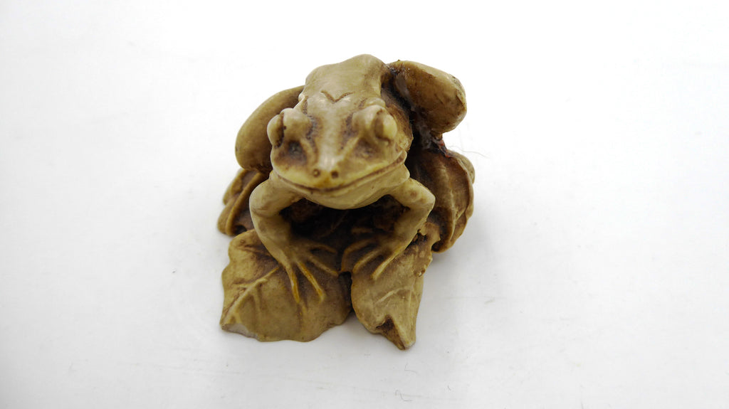 Grenouille sur nénuphar composite clair