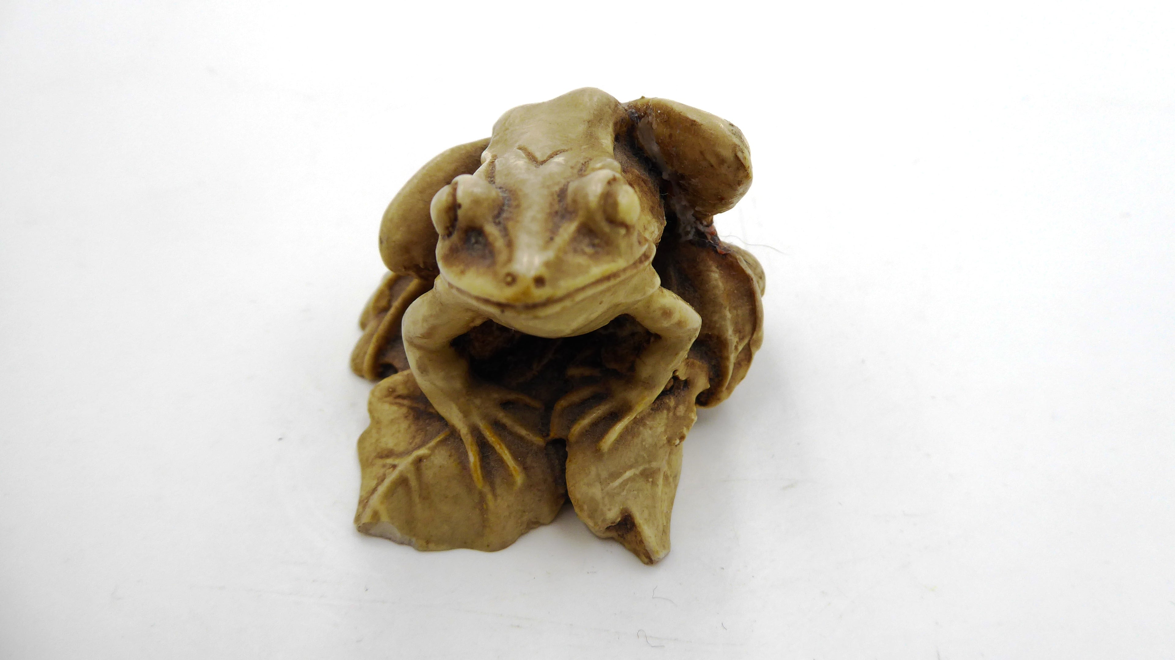 Grenouille sur nénuphar composite clair